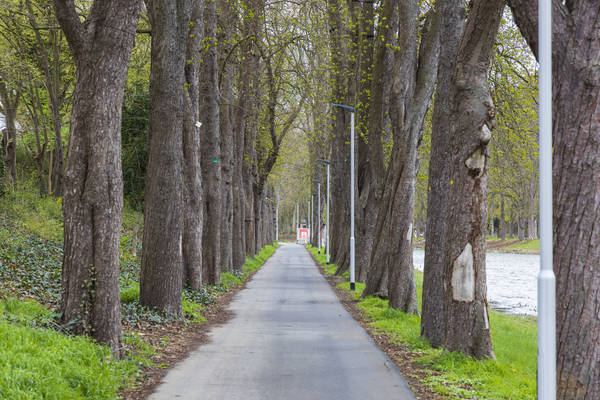 Foto: Stadtverwaltung/C. Steinborn | Foto: Stadtverwaltung/C. Steinborn