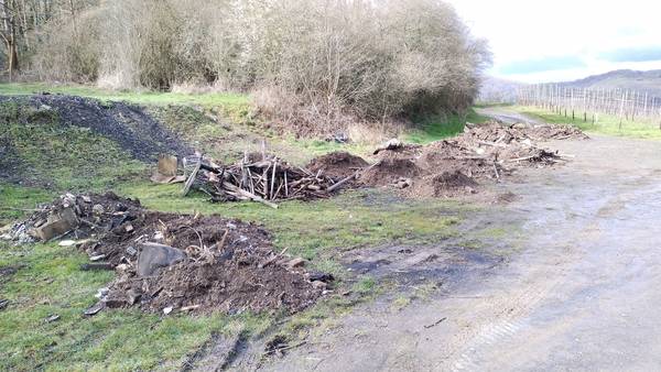 Illegale Hinterlassenschaft: Müllhaufen auf dem Feuerplatz. Foto: Stadt/Manfred Feinen | Illegale Hinterlassenschaft: Müllhaufen auf dem Feuerplatz. Foto: Stadt/Manfred Feinen