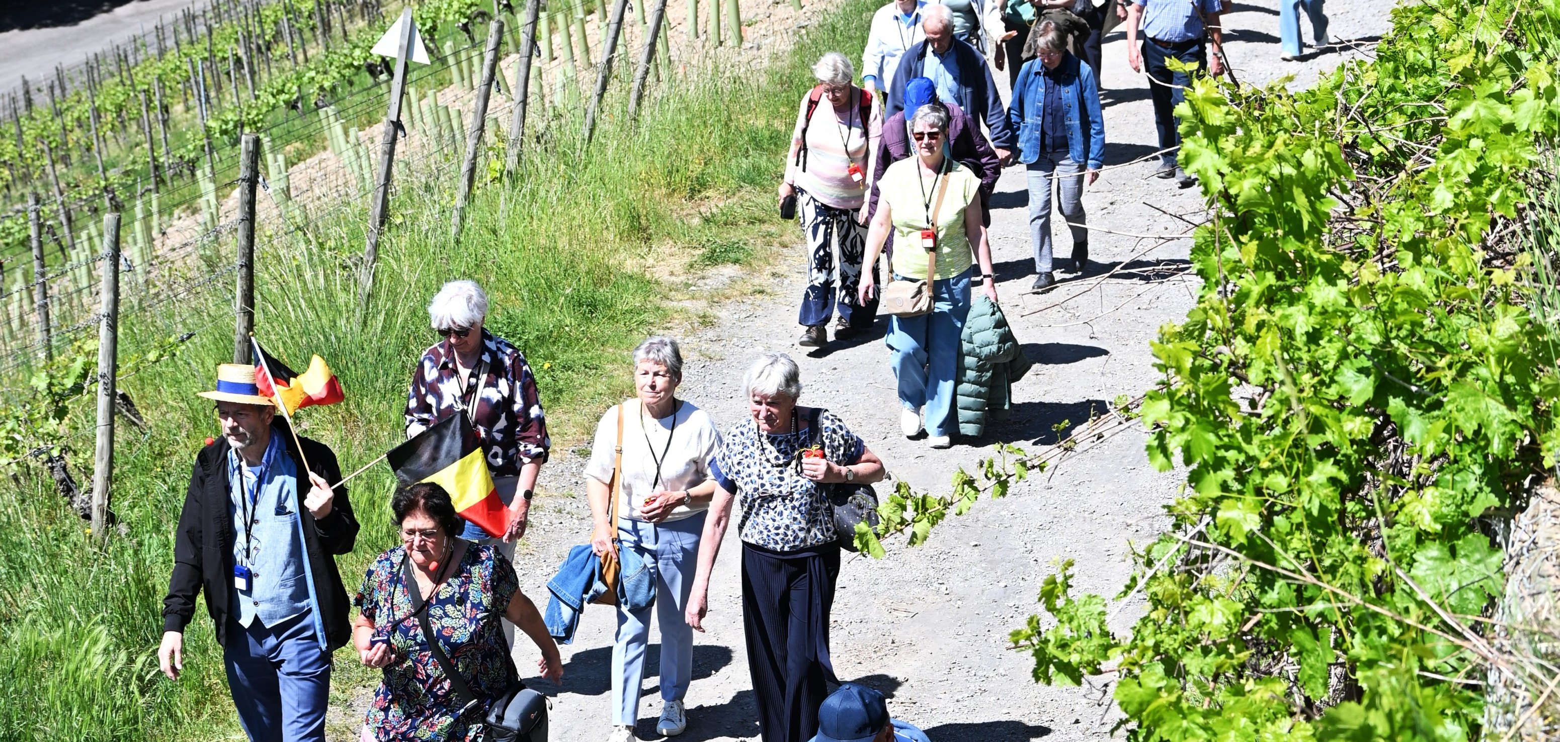 Die Mitglieder des Davidsfonds unterwegs in den Weinbergen