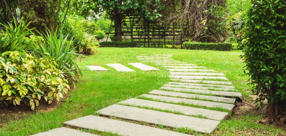 Garden landscape design with pathway intersecting bright green lawns and shrubs white sheet walkway in the garden.