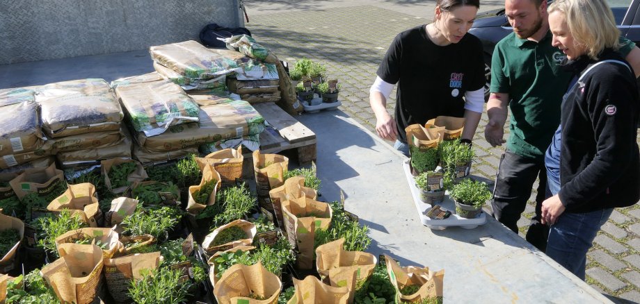 Klima-Aktion 2026, Ausgabe von Pfanzpaketen