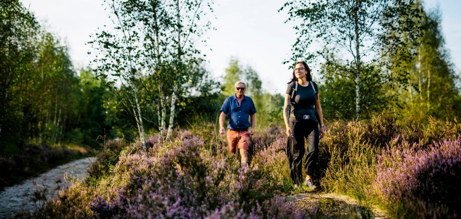 Auf Erkundungstour in der vielseitigen Naturlandschaft von Brasschaaat Auf Erkundungstour in der vielseitigen Naturlandschaft von Brasschaaat