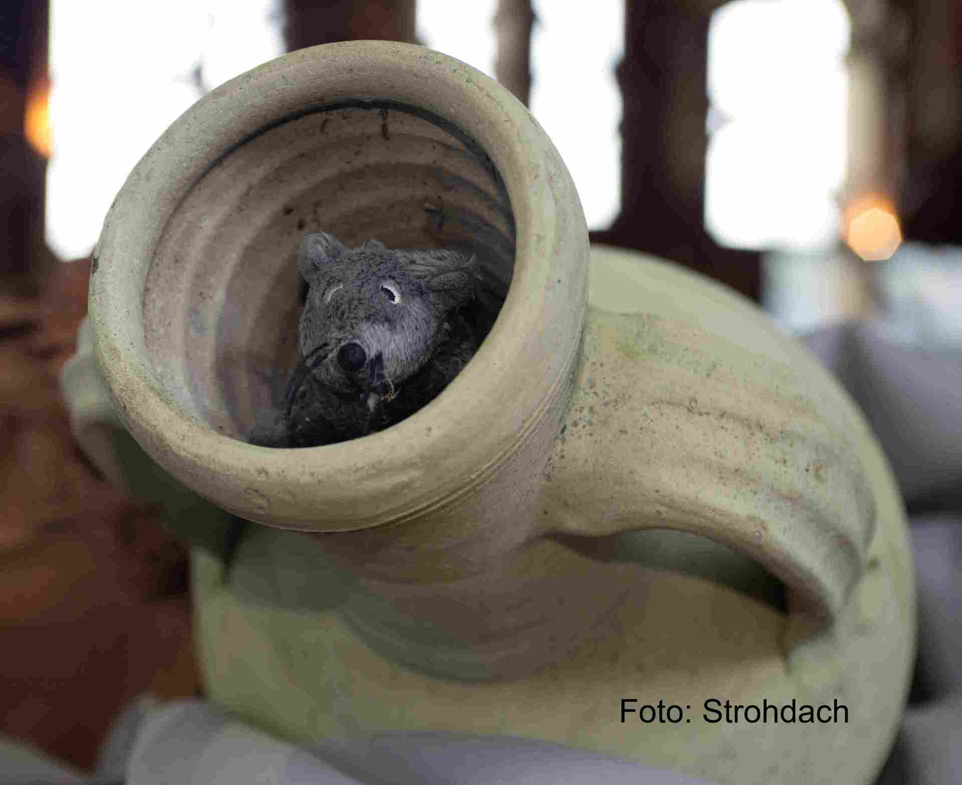 Saisonstart im Museum Roemervilla Saisonstart im Museum Roemervilla