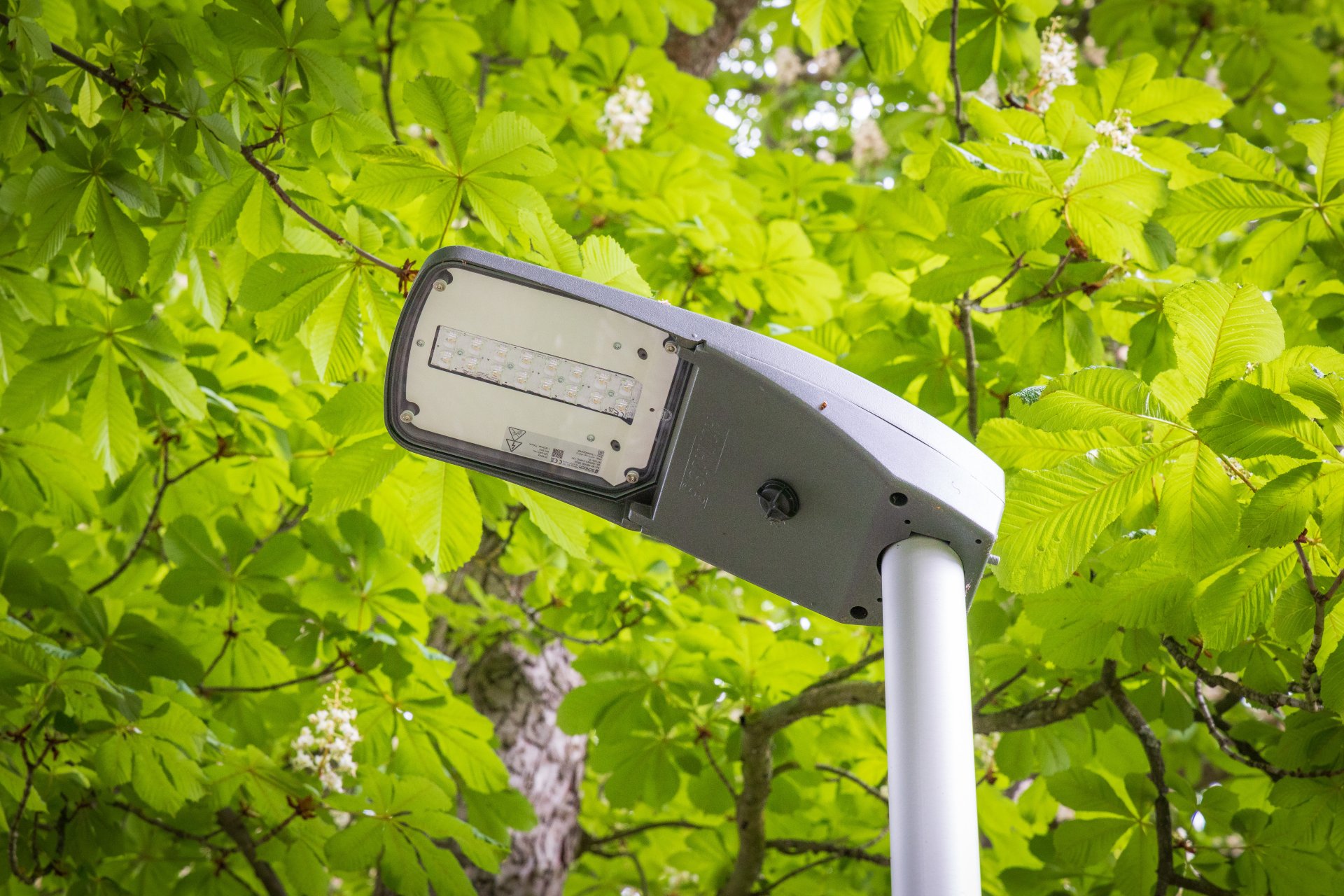 Start der Umrüstung der Straßenbeleuchtung im Stadtgebiet auf LED-Technik Straßenlaterne mit LED-Technik