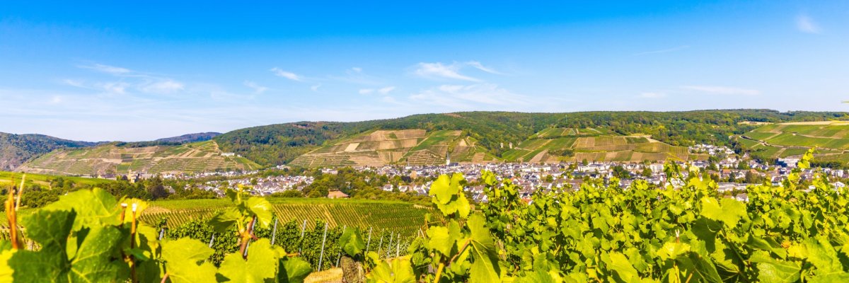 Blick auf das Stadtgebiet